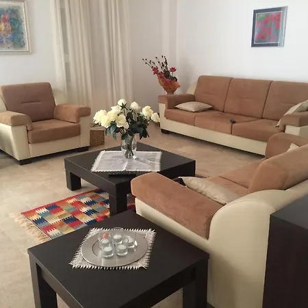 Palm Lane بيليك