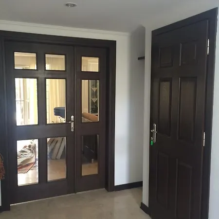 Palm Lane فيلة *
